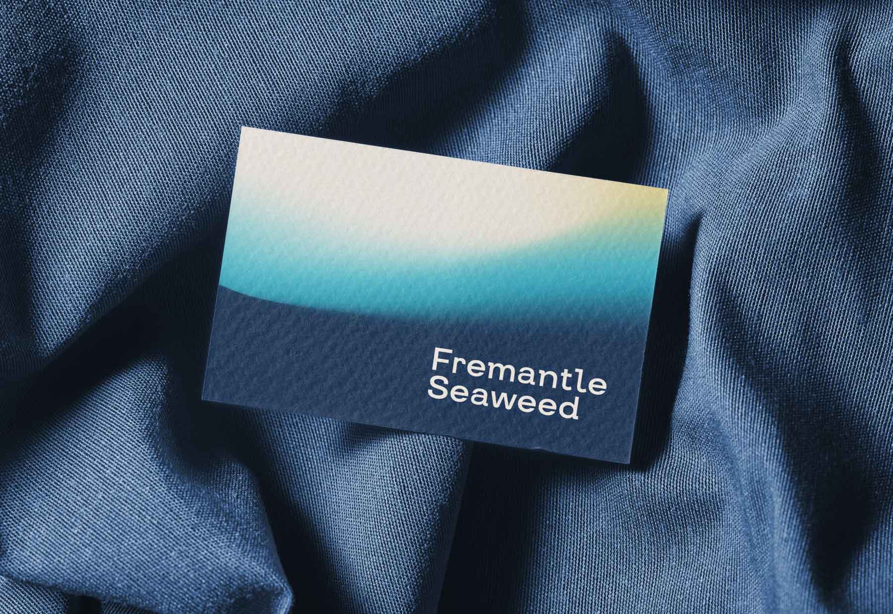 Fremantle Seaweed stationary brand application